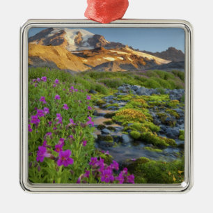 VS, Mt. Rainier National Park, Washington. Metalen Ornament