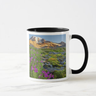 VS, Nationaal park Mount Rainier, Washington. Mok