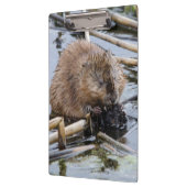 VS, Nebraska. Bever Klembord (Links)
