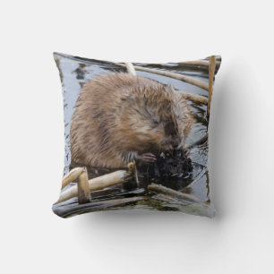 VS, Nebraska. Bever Kussen