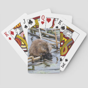 VS, Nebraska. Bever Speelkaarten