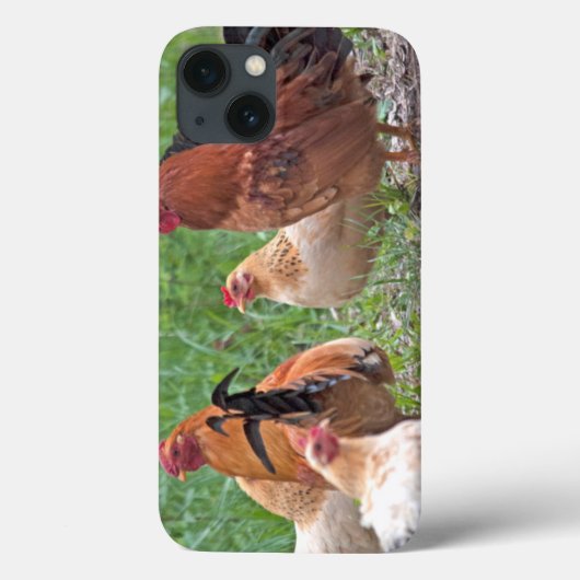 VS, Nebraska. Kippen Case-Mate iPhone Case (Achterkant)