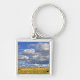 VS, Nebraska, Morrill County. Gouden hooi Sleutelhanger