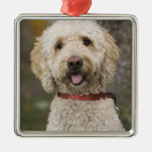 VS, New England, Massachusetts, Reading, Metalen Ornament