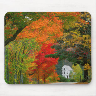 VS, New England, New Hampshire, Andover Muismat