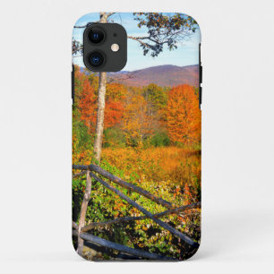 VS, New England, New Hampshire, Chocorua iPhone 11 Hoesje