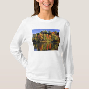 VS, New Hampshire, Moultonborough. Bomen in T-shirt