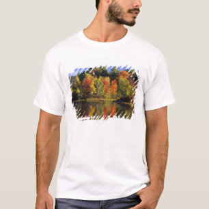 VS, New Hampshire, Moultonborough. Bomen in T-shirt