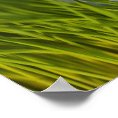 VS, New Jersey, Jersey City, close-up uitzicht of Poster (Hoek)