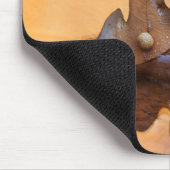 VS, New Mexico. Eak-blad in stroom Muismat (Hoek)