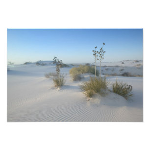 VS, New Mexico, White Sands National 2 Foto Afdruk