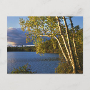 VS, New York, Adirondack Park en Preserve Briefkaart