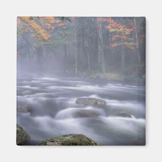 VS, New York, Adirondacks, Big Moose River Magneet (Voorkant)