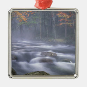 VS, New York, Adirondacks, Big Moose River Metalen Ornament
