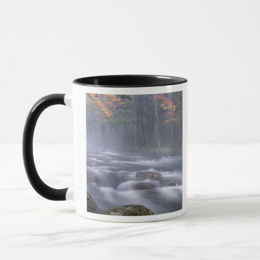 VS, New York, Adirondacks, Big Moose River Mok (Links)