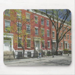 VS, New York, New York City, Manhattan: 25 Muismat