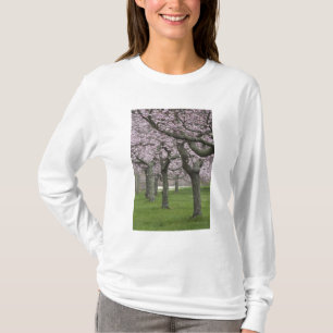 VS, New York, Oost Hampton. Kerriebomen in T-shirt