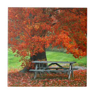 VS, New York, West Park. Bench-bank onder mantel Tegeltje