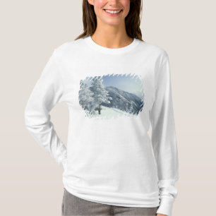 VS, NH, Sneeuw bedekte bomen Paden Sneeuwschoen T-shirt