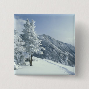 VS, NH, Sneeuw bedekte bomen Paden Sneeuwschoen Vierkante Button 5,1 Cm