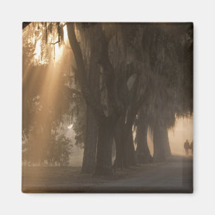 VS; Noord-Amerika; Georgia; Savannah. Jongens Magneet
