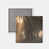 VS; Noord-Amerika; Georgië; Savannah. Jongens Magneet (Voorkant / Achterkant)