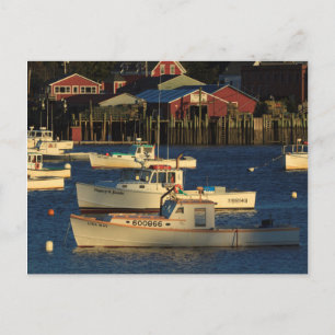 VS, Noord-Amerika, Maine, Bernard, Vissen Briefkaart