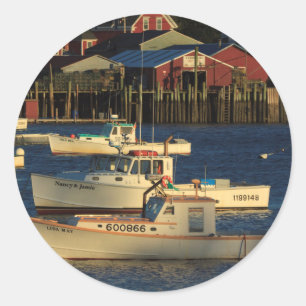 VS, Noord-Amerika, Maine, Bernard, Vissen Ronde Sticker