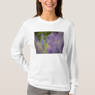 VS, Noordoost-Minnesota, nabij Silver Bay, T-shirt