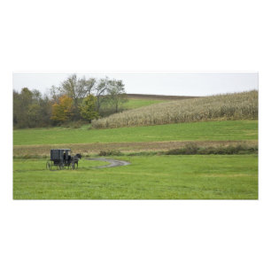 VS, Noordoost Ohio. Amish buggy op boerderij Foto Afdruk