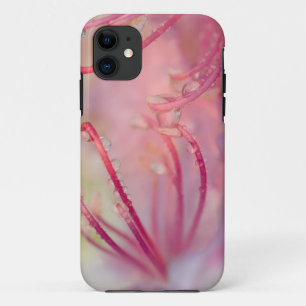 VS, North Carolina. Catawba rododendron met iPhone 11 Hoesje