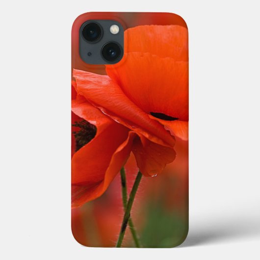 VS, North Carolina. Close-up van klaproos Case-Mate iPhone Case (Achterkant)