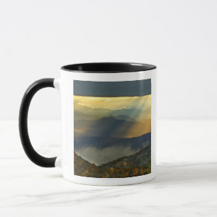 VS, North Carolina, Great Smoky Mountains. Mok