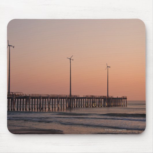 VS, North Carolina, Outer Banks, Kill Devil Muismat (Voorkant)