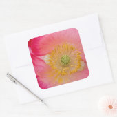 VS, North Carolina. Sluiting van de papaverbinnenk Vierkante Sticker (Envelop)