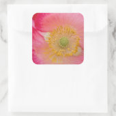 VS, North Carolina. Sluiting van de papaverbinnenk Vierkante Sticker (Tas)