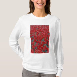 VS, Ohio, Cincinnati. Bed met rode tulpen T-shirt