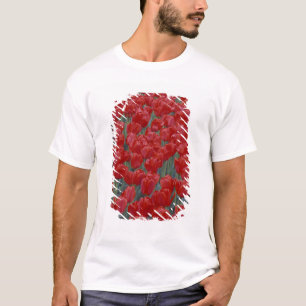 VS, Ohio, Cincinnati. Bed met rode tulpen T-shirt