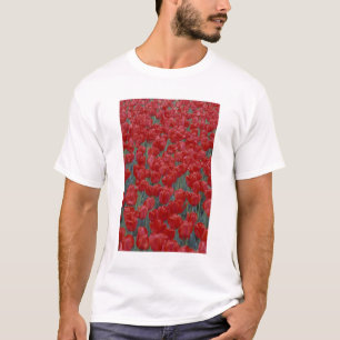 VS, Ohio, Cincinnati. Bed van rode tulpen T-shirt