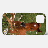 VS, Oregon, Arabische Pony. Case-Mate iPhone Case (Achterkant (horizontaal))