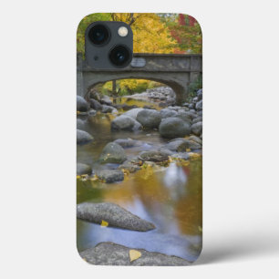 VS, Oregon, Ashland, Lithia Park. Herfst iPhone 13 Hoesje