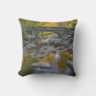 VS, Oregon, Ashland, Lithia Park. Herfst Kussen