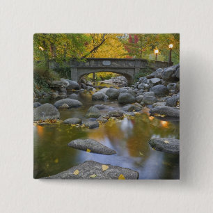 VS, Oregon, Ashland, Lithia Park. Herfst Vierkante Button 5,1 Cm