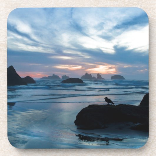 VS, Oregon, Bandon Beach. Seagull op rock Bier Onderzetter (Voorkant)