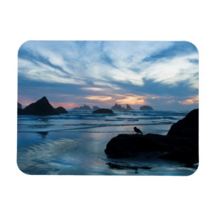 VS, Oregon, Bandon Beach. Zeemeeuw op rots Magneet