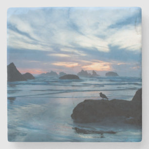 VS, Oregon, Bandon Beach. Zeemeeuw op rots Stenen Onderzetter