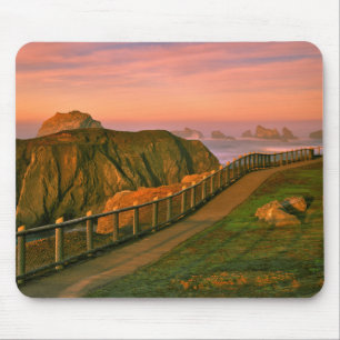 VS, Oregon, Bandon. Rotsen bekeken vanuit Trail Muismat
