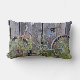 VS, Oregon, Bend. Een vervallen oude fiets Kussen