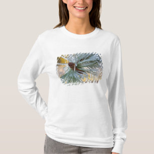 VS, Oregon, Bend. Ponderosa-dennennaalden zijn T-shirt