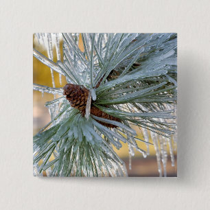 VS, Oregon, Bend. Ponderosa-dennennaalden zijn Vierkante Button 5,1 Cm